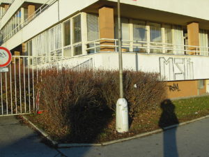 KIF_1103